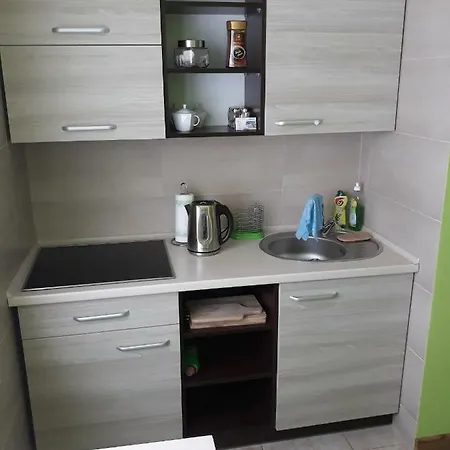 منزل للإقامة U Elzbiety ليبا