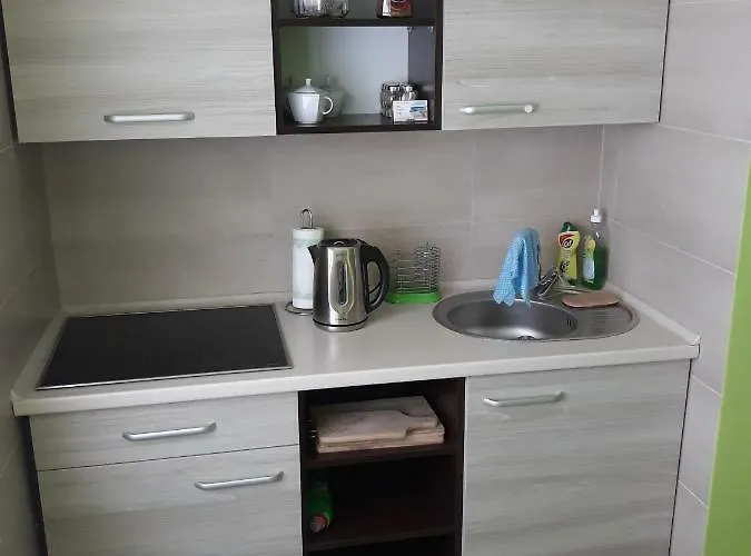 民宿 U Elzbiety 莱鲍